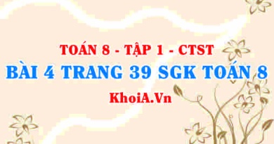 Bài 4 trang 39 SGK Toán 8 Tập 1 Chân trời sáng tạo